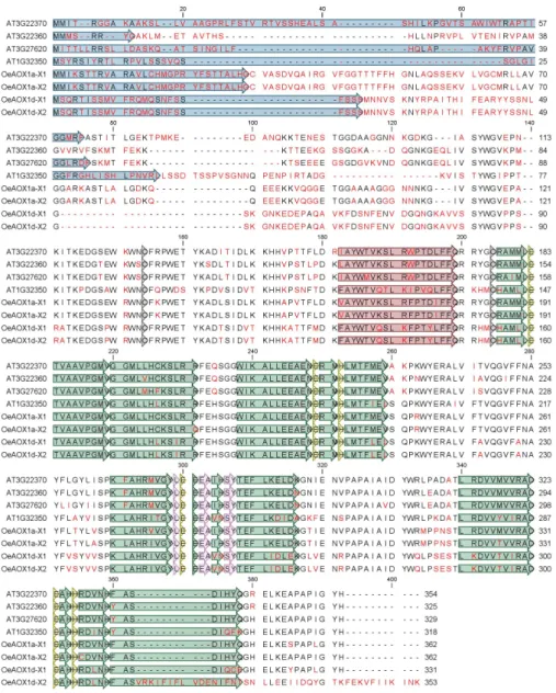 Figure 3. Multiple alignment of putative amino acid translated sequences of previously reported AOX  proteins from A
