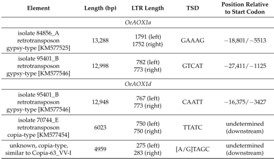 Table 1. Information regarding the full length elements identified in the upstream and downstream region of OeAOX1 genes in cv