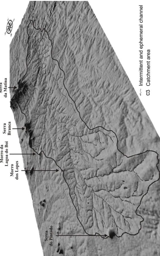 Figure 2 – A 3D visualization with a vertical ampliication of the surface of the Hydrographic Basin of the Bom  Sucesso River, showing areas of planation and residual elevations