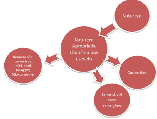 Figura 2 - Percepção da natureza e sua relação com os alimentos Fonte: Brandão, 1981, p.97