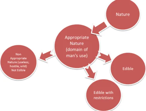 Figure 2 - The perception of nature and its relationship with foods Source: Adapted from Brandão, 1981, p.97