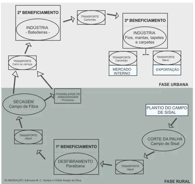 Figure 1 - Schematic representation of the productive process of sisal
