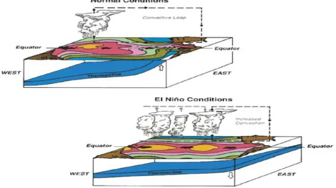 Figure 1 - El Niño phenomenon (from https://www.pmel.noaa.gov/elnino/what-is-el-nino )