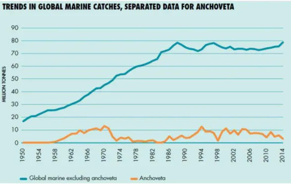 Figure 3 - Importance of Peruvian anchoveta (Engraulis ringens) in the overall World catch