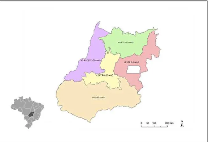 Figura 6 – Mesorregiões do estado de Goiás, Brasil.