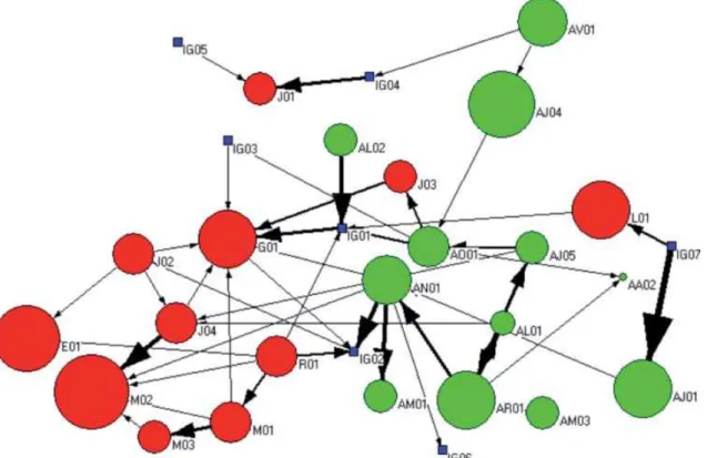 Figura 4 – Representação grá ﬁ  ca da rede de circulação de ramas das comunidades estudadas