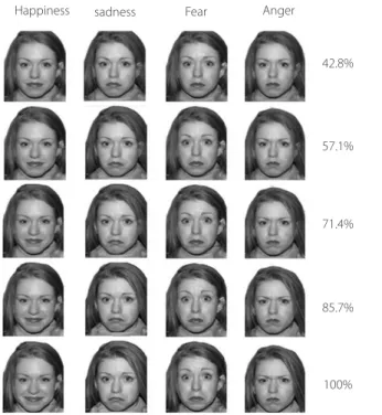 Figure 1. Emotional faces produced by the morphing technique.