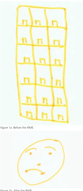 Figure 1a. Before the RIME. 
