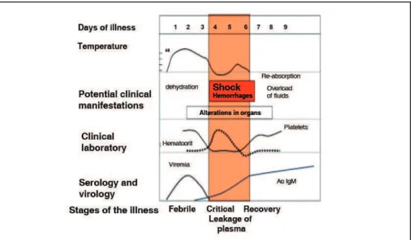 Figure 2 – Progress of the dengue illness.