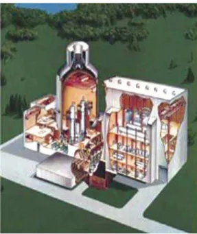 Figure 8 – AP-1000 advanced reactor.