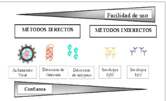 Figura 3 – Métodos diagnósticos para dengue.