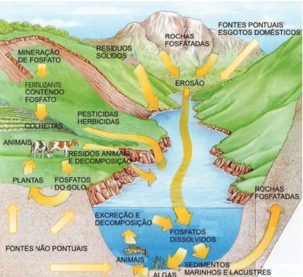 Figure 1 represents the concept of a watershed in all the key components  for research and management