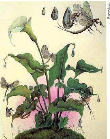 Figure 1 – Spontaneous generation for organisms considered to be  simple was admitted since Ancient Times until the end of the 19th Century.