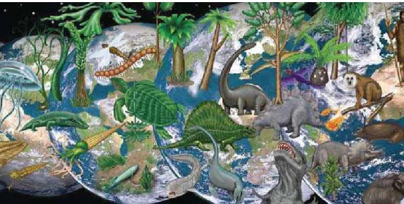 Figure 2 – The fossil record shows that evolution transformed the 
