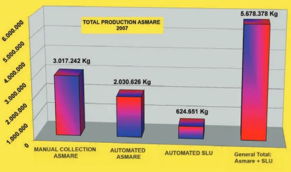 Figure 2 – Production of Asmare in 2007