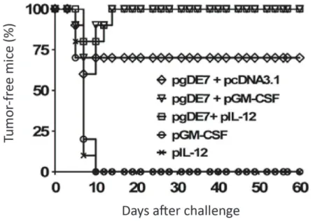 figure 2 – Co-administration of pgDe7 vector and plasmids encoding IL-12 or GM- GM-CSf confers therapeutic protection to challenges of TC-1 cells