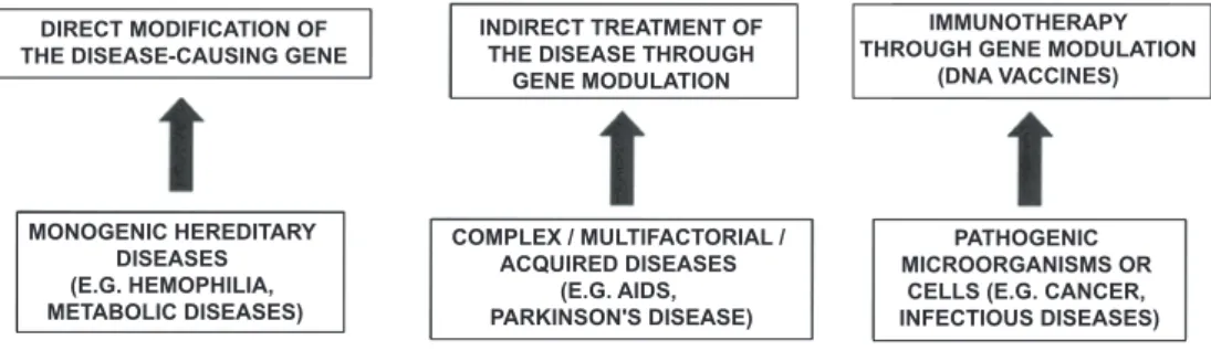 Figure 1 – main forms of gene therapy