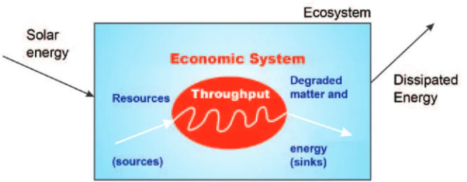 Figure 3 –The economy as an open system inside the ecosystem (ecological vision         of the economy).