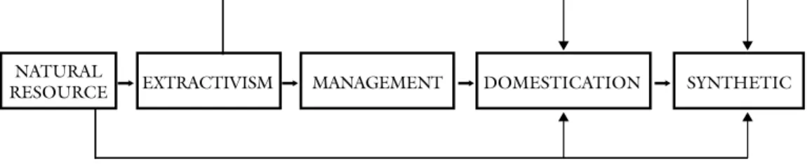 figure 2 – Possible ways to use the natural resource after its transformation into an  economic resource (homma, 2007)