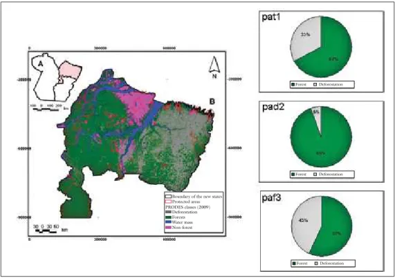 Figure 4 – Classes of remaining vegetation cover in the state of Pará, showing on the  right-hand side the proportion of forest and total deforestation (pat1)  inside  (pad2) and outside (paf3) protected areas
