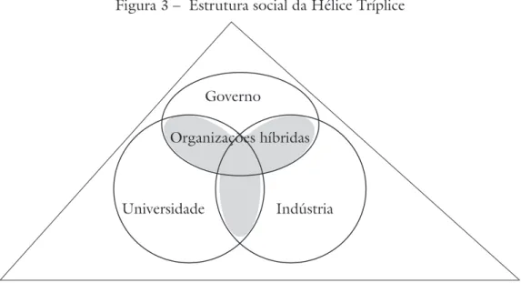 Figura  3  –  Estrutura social da Hélice Tríplice
