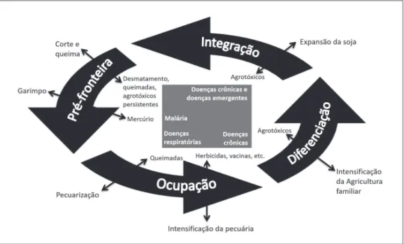 Figura 3 – Ciclo de vida da saúde ambiental na fronteira agrícola de Alta Floresta e  Paranaíta
