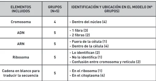Tabla 2. Elementos representados en el modelo de expresión de los genes de los cinco grupos.
