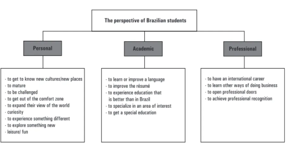FiGURe 1 – Brazilian student categories