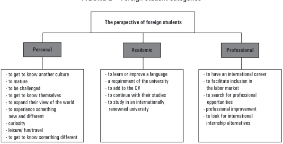 FiGURe 2 – Foreign student categories