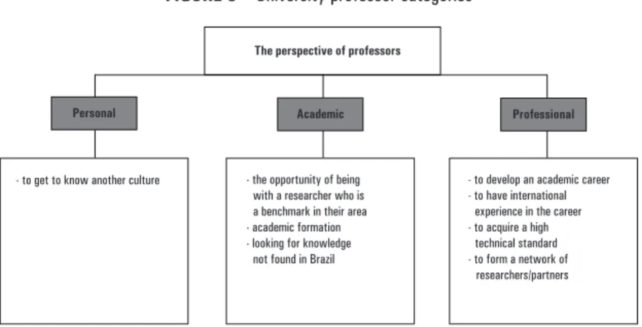 FiGURe 3 – University professor categories