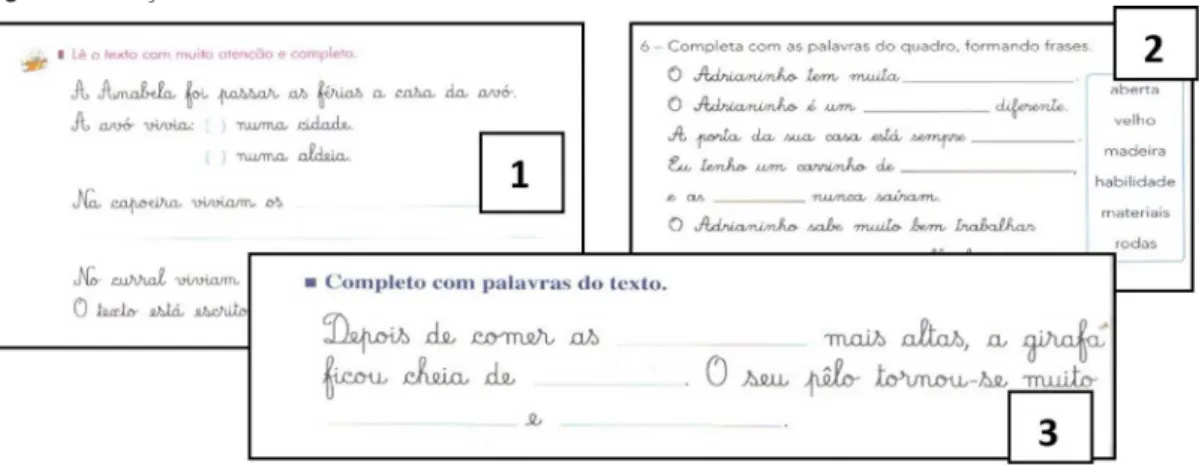 Figura 5- Avaliação