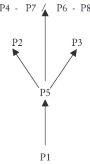 Figura 1 Estructura de una categoría