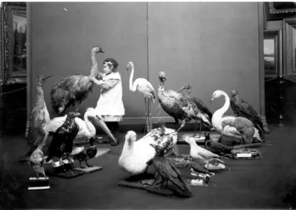 FIGURE 2 - A BLIND GIRL EXAMINING MOUNTED BIRDS SOURCE: Copyright Tyne and Wear Archives and Museums.