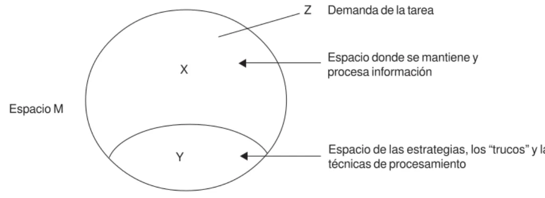 Figura 1 . Modelo propuesto por Johnstone e  El-Banna para el espacio M (Johnstone e El-Banna, 1986).
