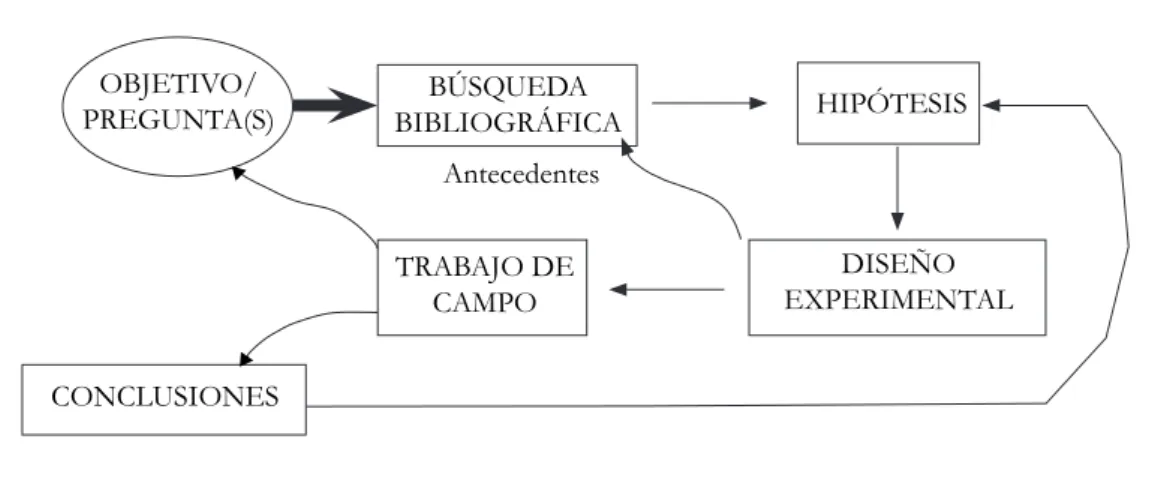 Figura 2.  Esquema del proceso de investigación cientíica elaborado por una estudiante luego de la  implementación de la secuencia didáctica