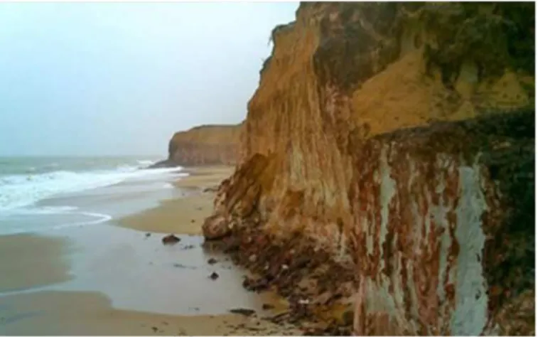 Figura 1. Falésia viva sofrendo ação erosiva do mar, evidenciando  horizontes e terraço de abrasão marinha