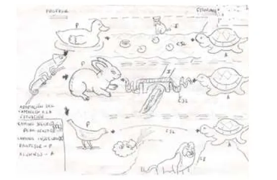 Figura 10. El profesor como un camaleón, que puede transformarse en pato, liebre o paloma y seguir  diferentes itinerarios, cada uno con sus obstáculos: lince, cocodrilo o león (Grupo de España)