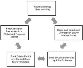 Figure 1: New Vicious Circle of Financial Crises 6