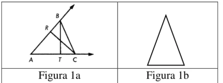 Figura 1a  Figura 1b 