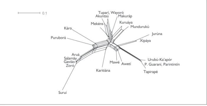 figure 4. network representation (neighbornet algorithm) based on tupí-HiHi (more stable) words.