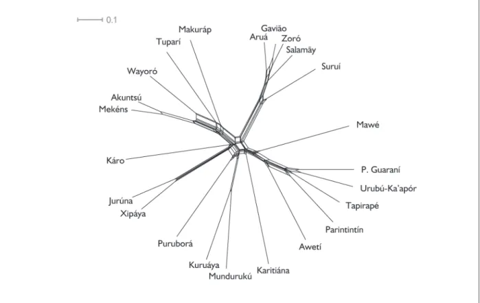 figure 5. network representation (neighbornet algorithm) based on tupí-LoLo (less stable) words 
