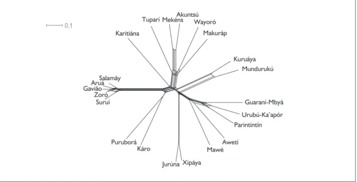figure 6. network representation (neighbornet algorithm) based on the 90-item list of plants and animals