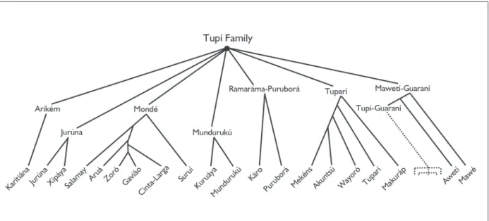 figure 1. internal classification of the tupi family.