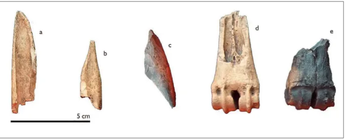 Figura 4. Artefactos óseos de LDN1: puntas indeterminadas sobre (a) hueso largo de mamífero indeterminado y (b) metapodio de Cervidae; 