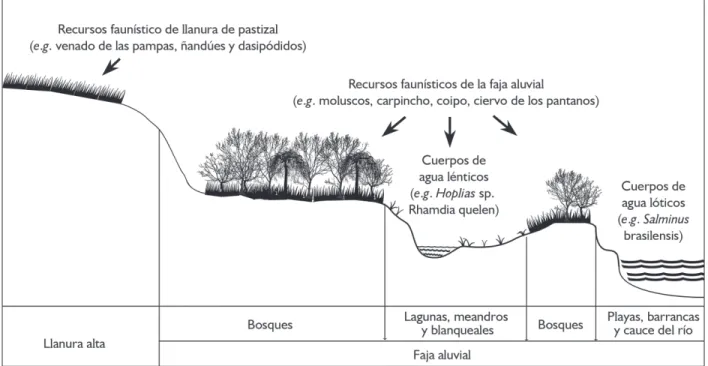Figura 5. Recursos faunísticos aprovechados en los diferentes microambientes de las fajas aluviales y las llanuras altas del interior entrerriano
