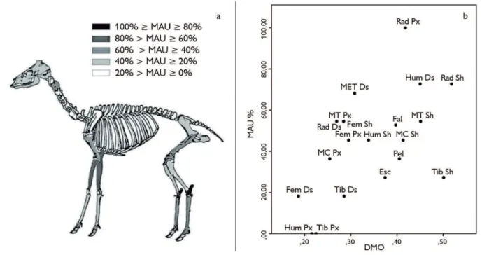 Figura 2. a) Perfil esqueletario de Cervidae mediano; b) Dispersión de las unidades anatómicas de Cervidae mediano según MAU% y  densidad mineral ósea (DMO)