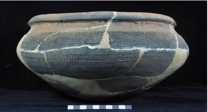 Figure 8. Saracá vessel from Sucuriju site: restricted vessel with reinforced rim, grooved and punctuated decoration