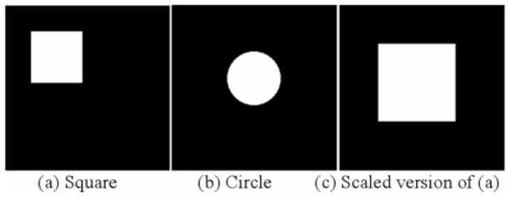 Figure 8: Amplitude of the Mellin transforms of the three basic images considered.