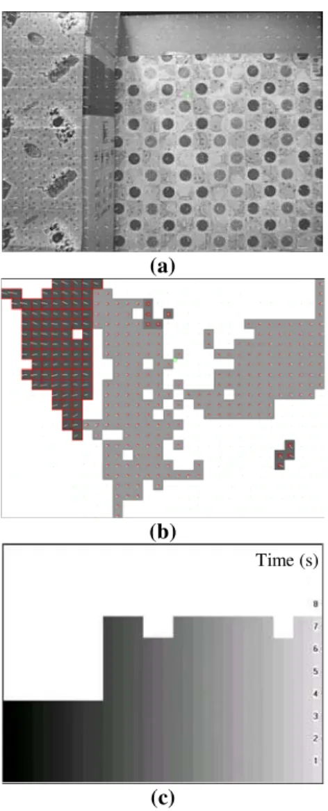 Figure 3: An example of the use of the optical flow-based image segmentation algorithm
