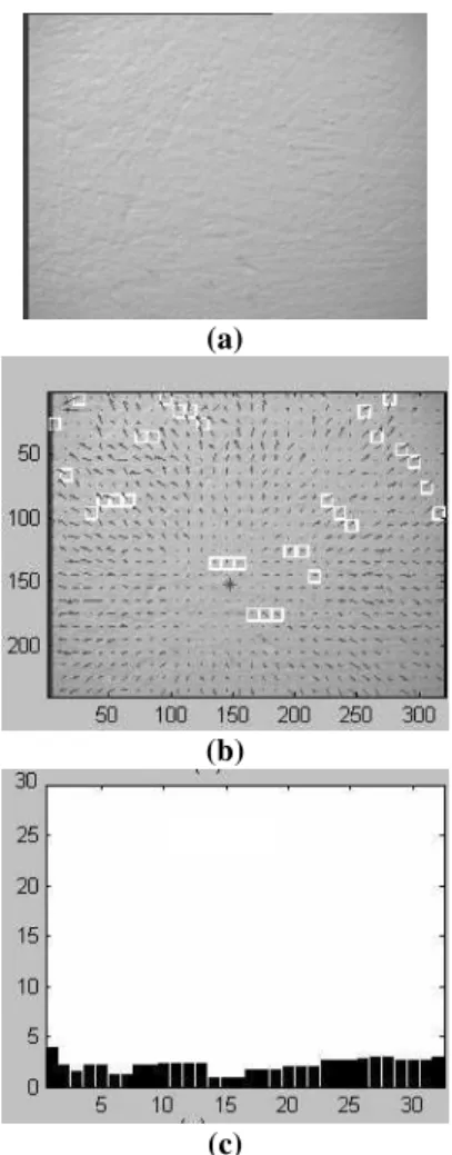Figure 4: Exemplifying the detection of a wall. Part (a) shows the wall, part (b) shows the optical flow vectors  calcu-lated, and part (c) shows the corresponding vector of times to collision.